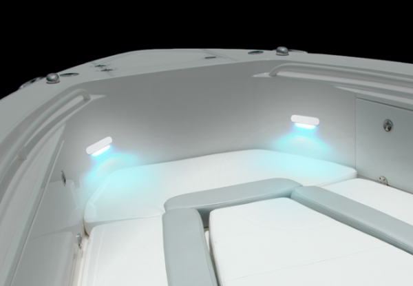 CL-1-600x415.png