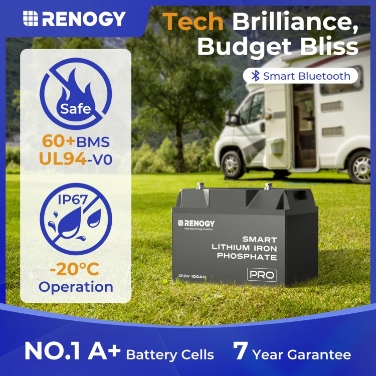 RBT12100LFP-BT-EU__30093.1734422003.1280.1280.webp